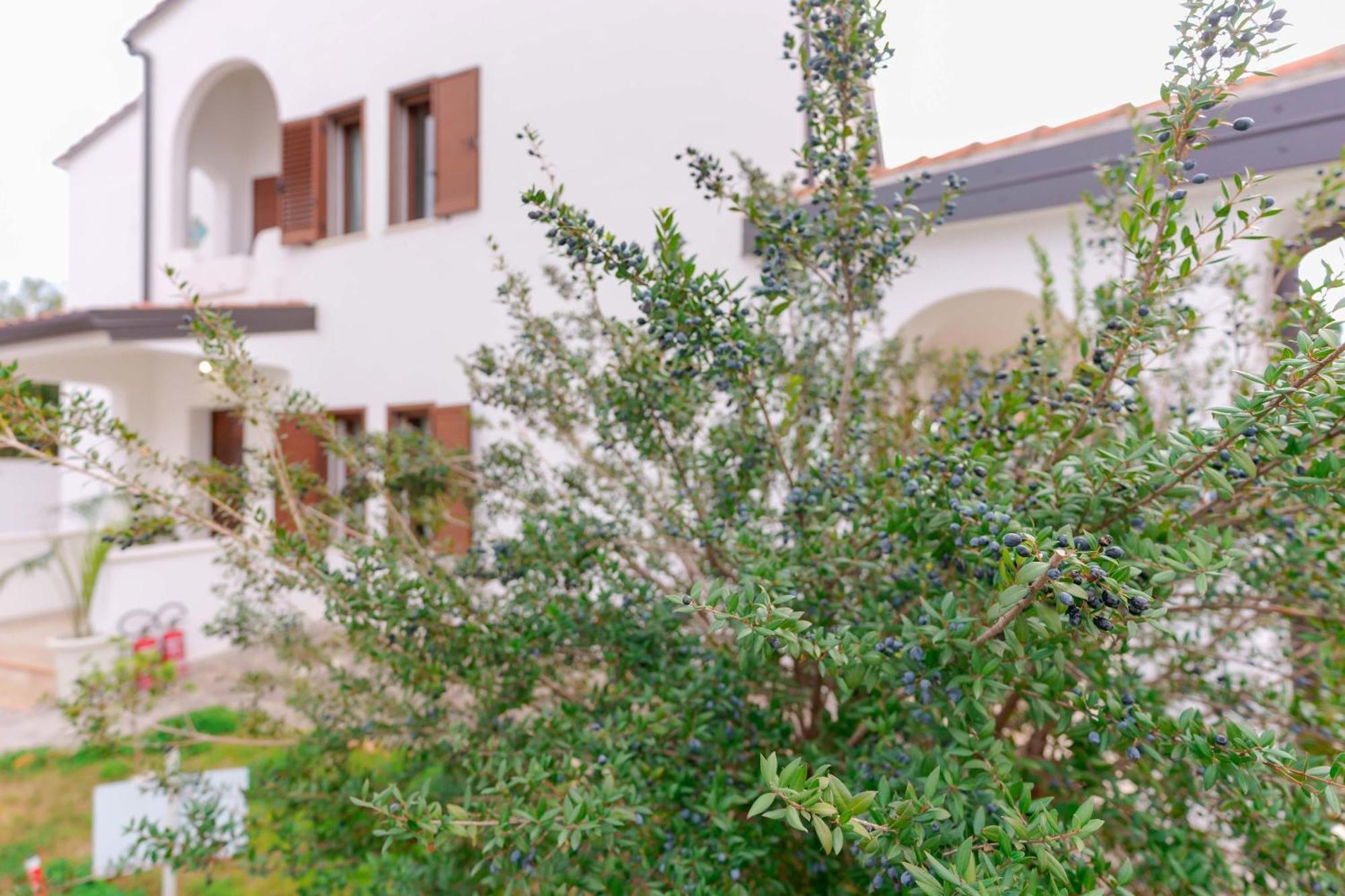 Villa Wunjo Iun R3267 La Maddalena  외부 사진